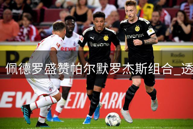 佩德罗盛赞帕尔默罗杰斯组合 透露进攻端默契秘诀